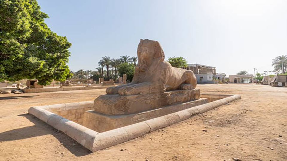 Tour Image